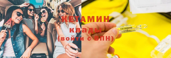 прущие грибы Михайлов