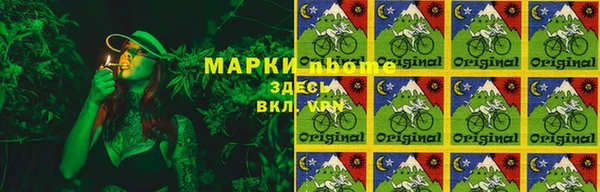 прущие грибы Михайлов