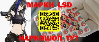 Альфа ПВП Гатчина