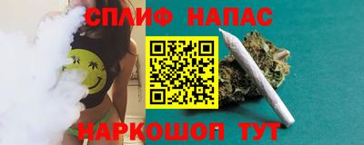 Альфа ПВП Гатчина
