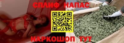 гидра Гагарин