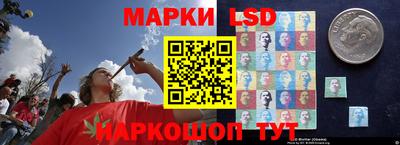 Альфа ПВП Гатчина