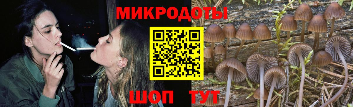 Галлюциногенные грибы мицелий  Вход с VPN  Галлюциногенные грибы MAGIC MUSHROOMS  Егорьевск 